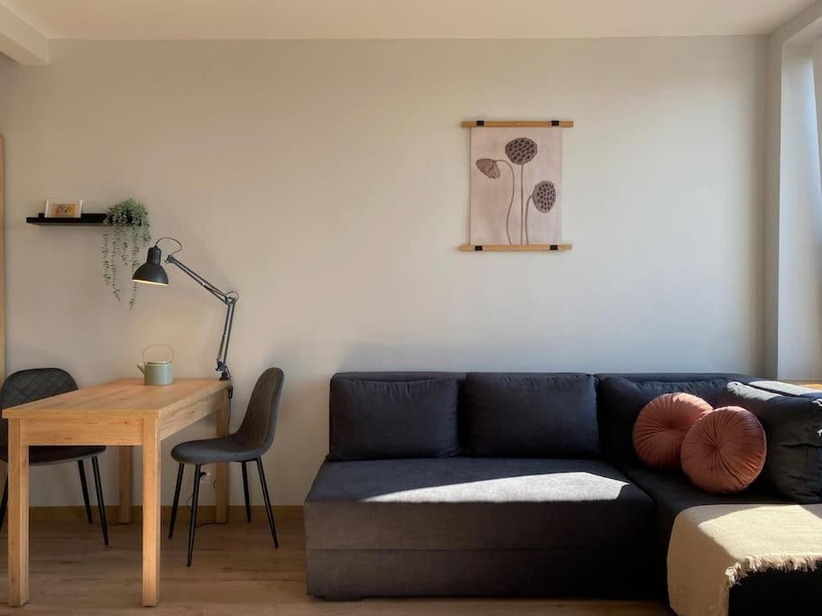 Atrakcyjna Kawalerka 45 Lodz (Lodz)